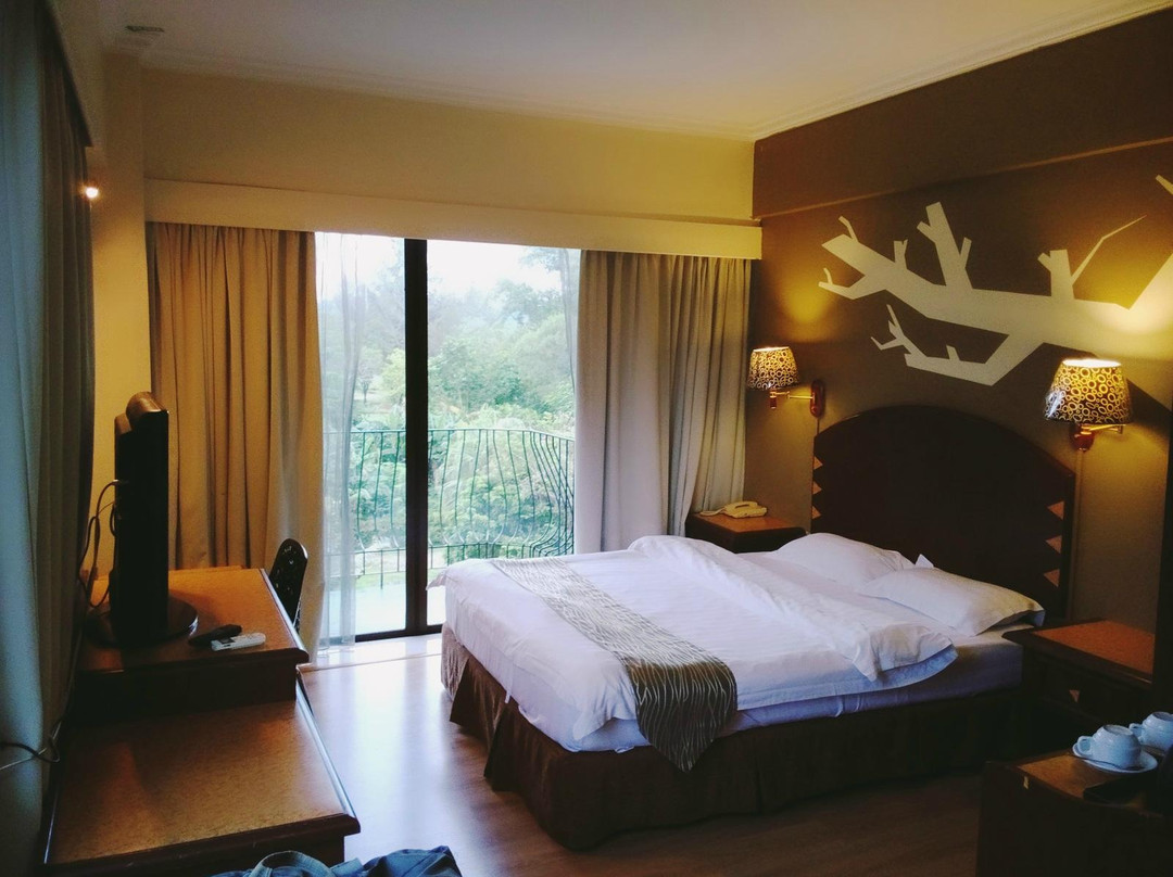 岛酒店住宿-木麻黄酒店