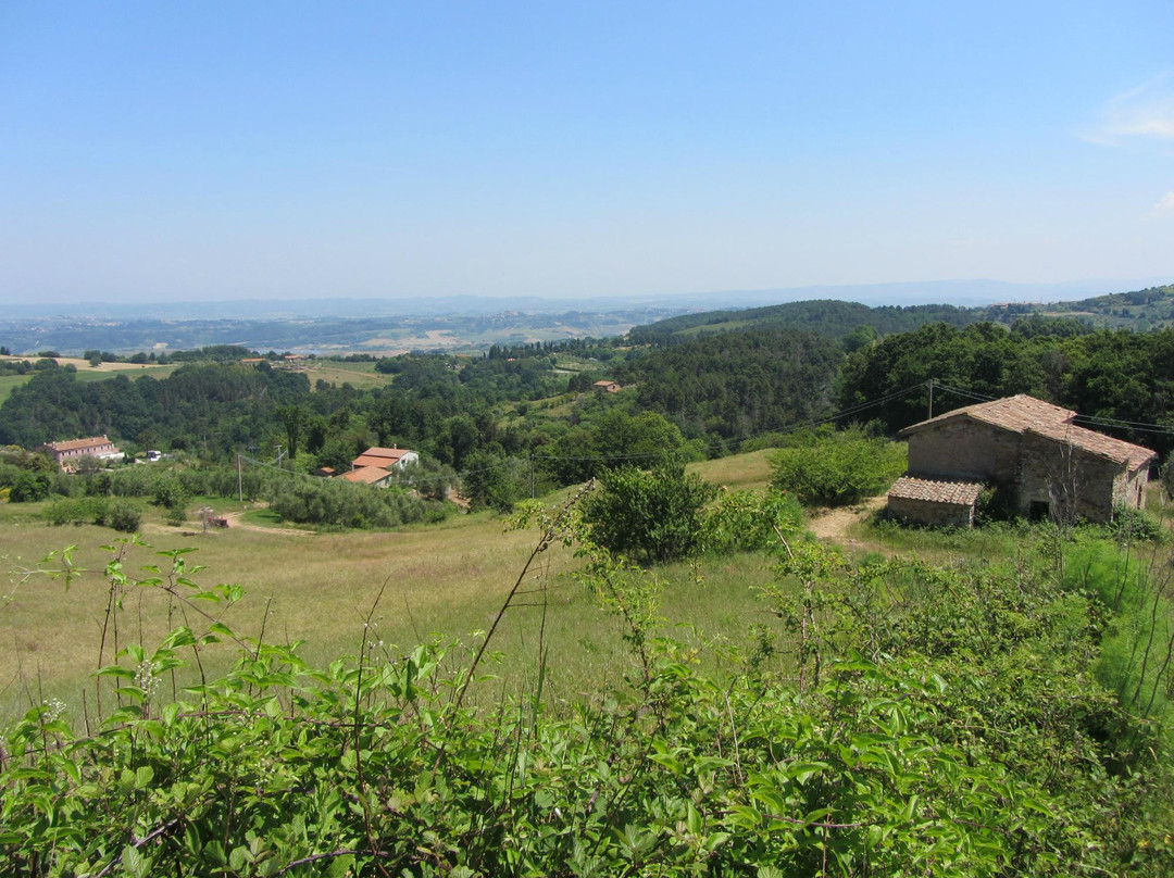 Rocca Di Montanino景点图片