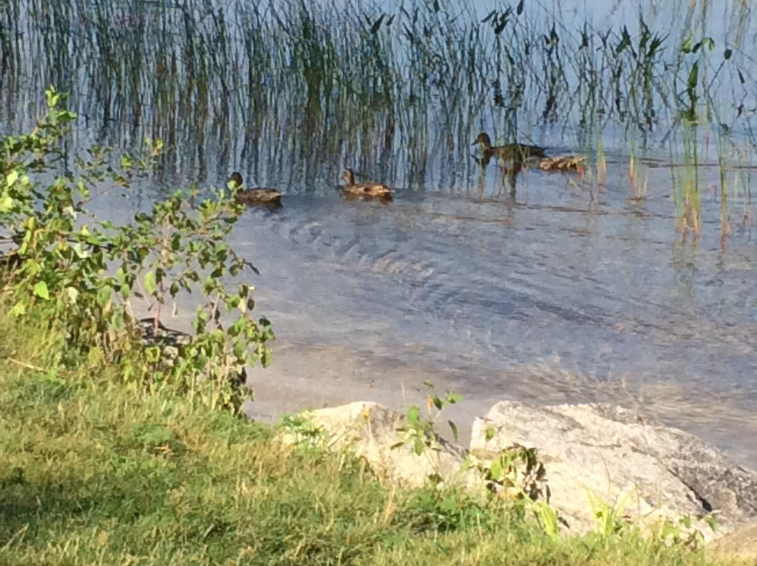 Lake Massabesic-曼彻斯特必去景点