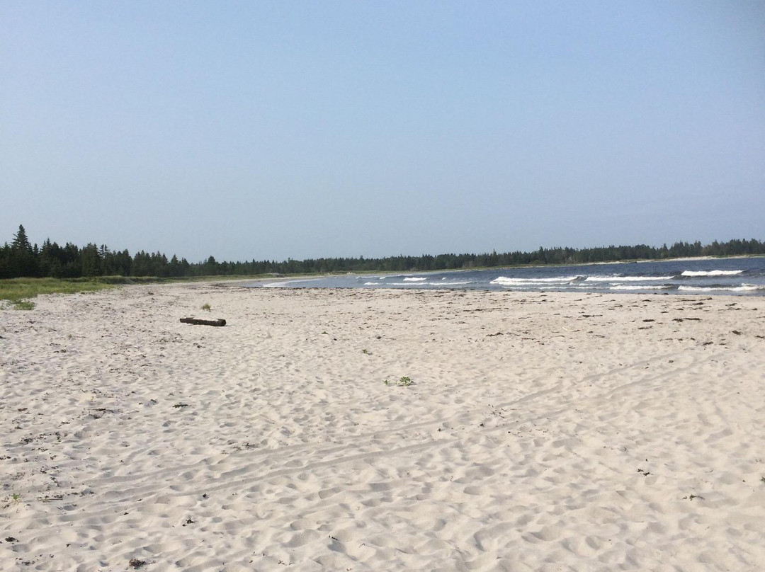 Beach Meadows Beach Park景点图片
