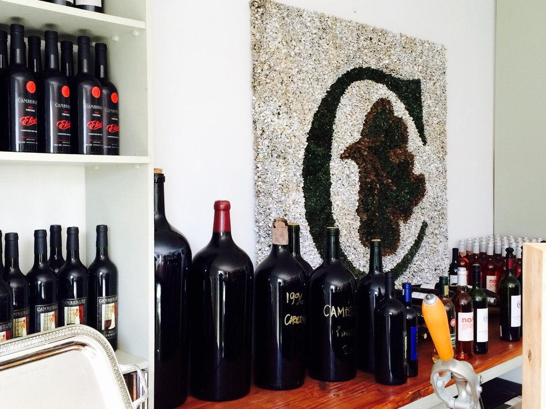 Camberley Wines-斯泰伦博斯必去景点