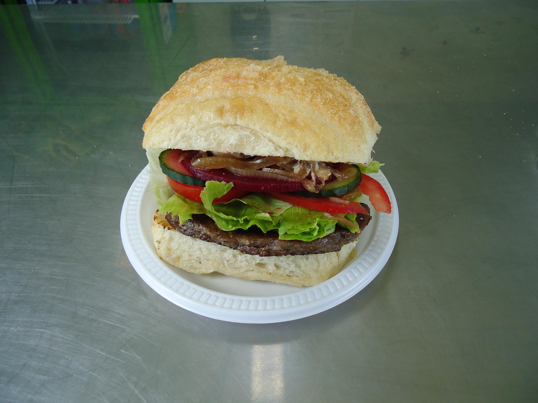 The Gourmet Griller Ltd