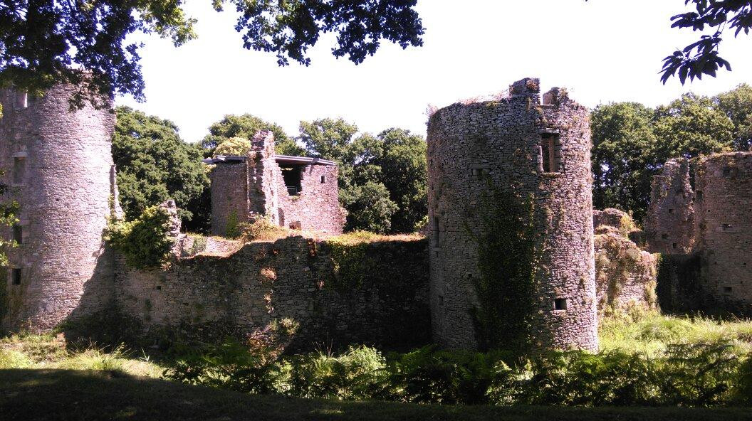 Château de Ranrouët景点图片