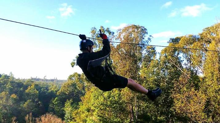 SA Forest Adventures-卡里登必去景点
