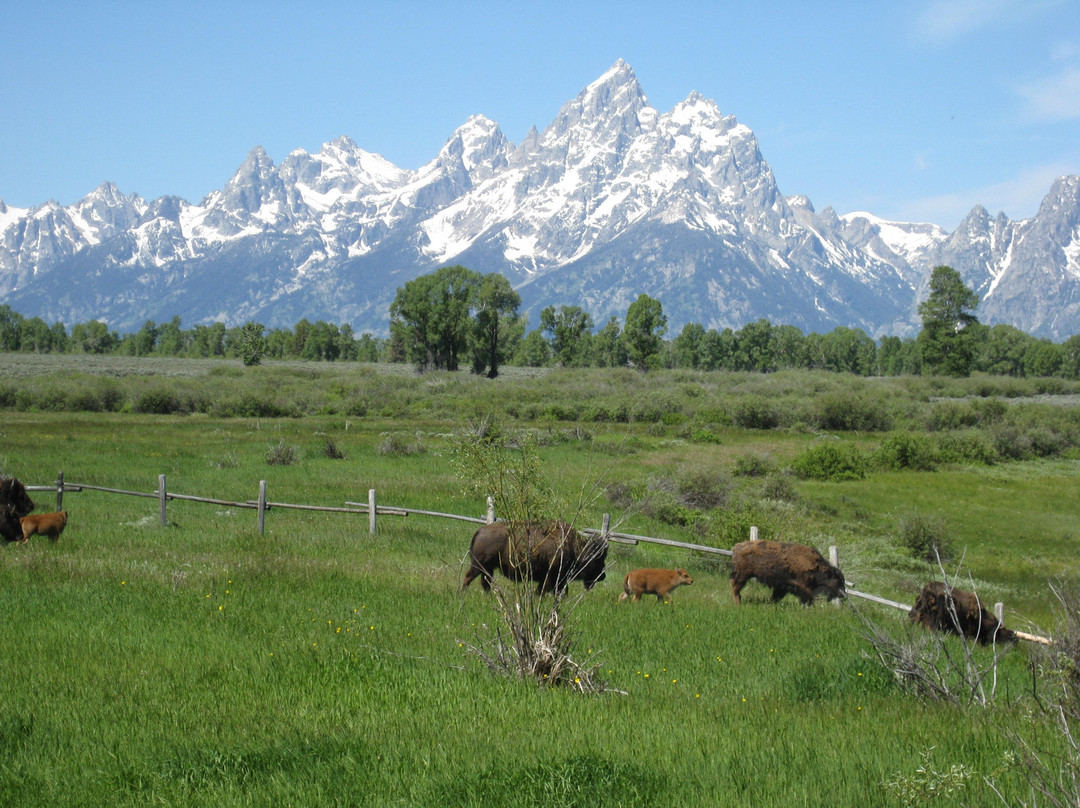 Grand Teton Scenic Drive-穆斯必去景点
