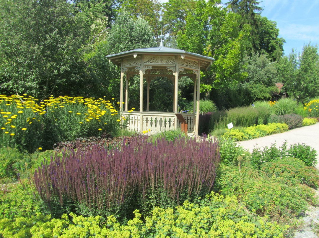 Botanischen Obstgarten景点图片