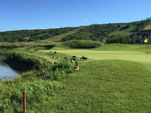 Monterra Golf-蓝山必去景点