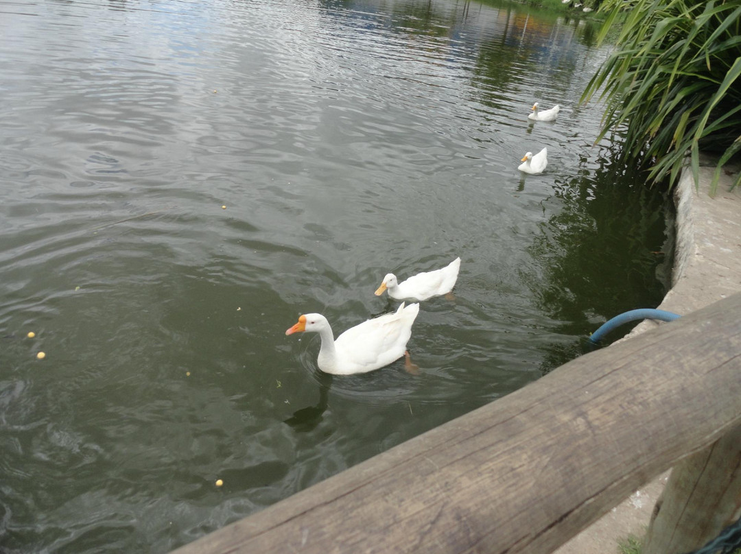 Parque Municipal Erivaldo Cerqueira-Feira de Santana必去景点