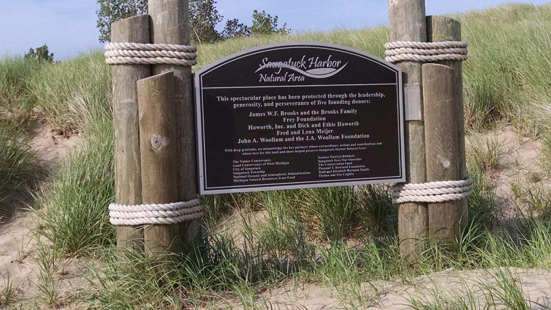 Oval Beach-索格塔克必去景点