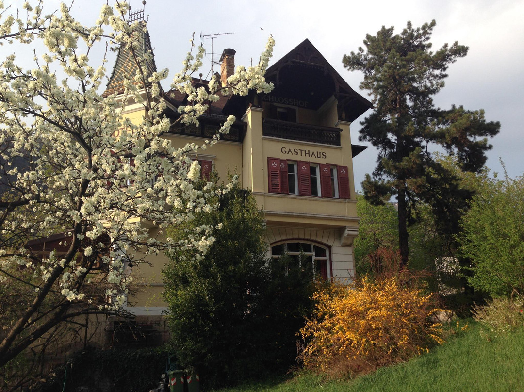 Cornedo all'Isarco酒店住宿-Ghastof Albergo Schlosshof