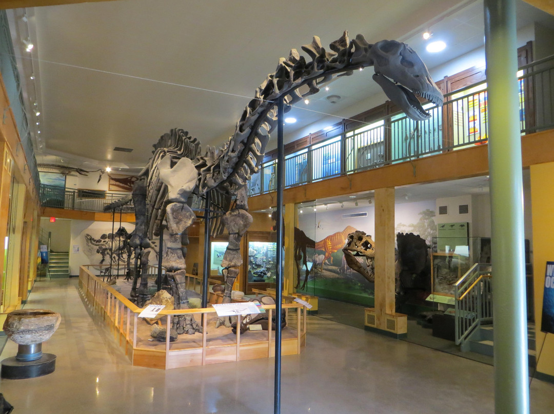 University of Wyoming Geological Museum-拉勒米必去景点