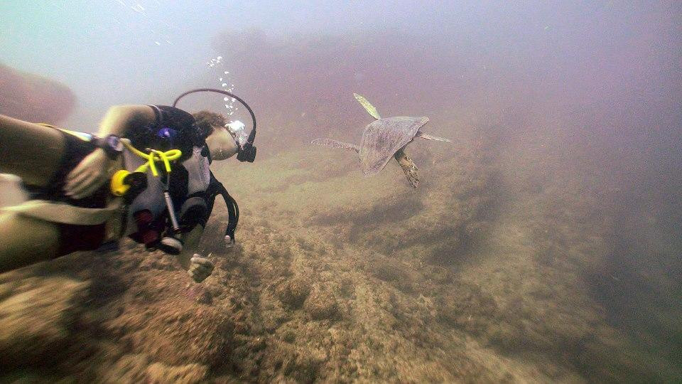 Twin Dolphins-瓦拉塔港必去景点