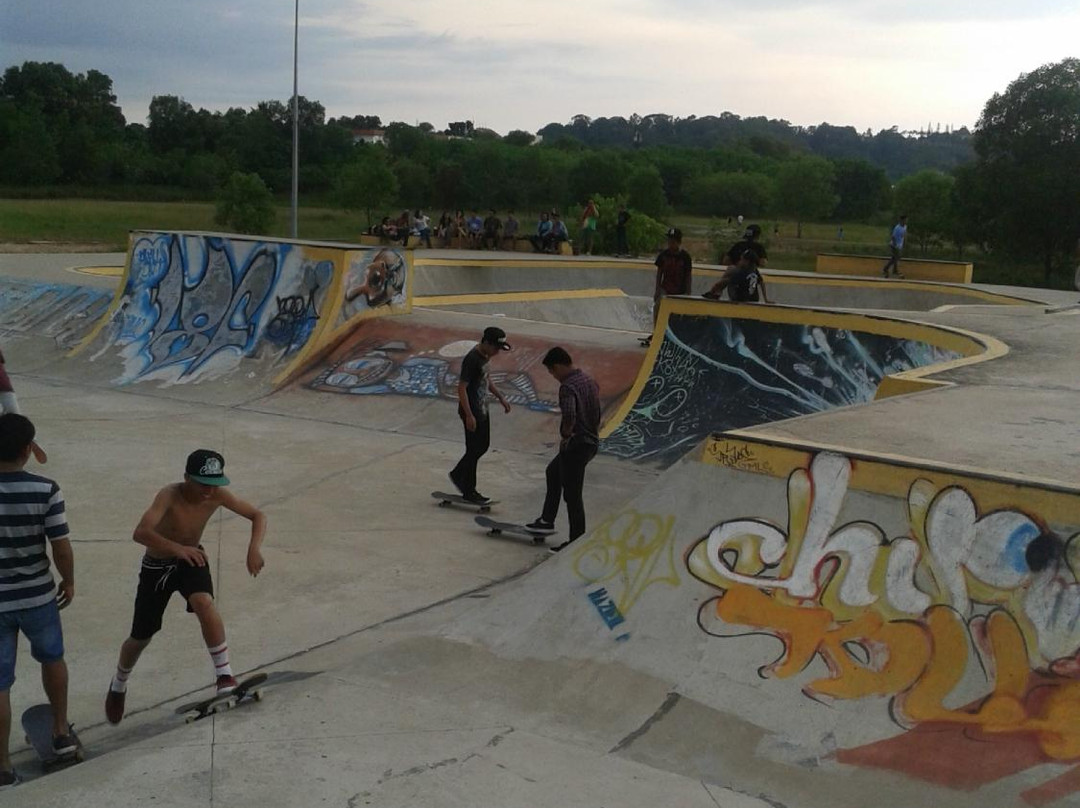 The Jungle skatepark-亚庇必去景点