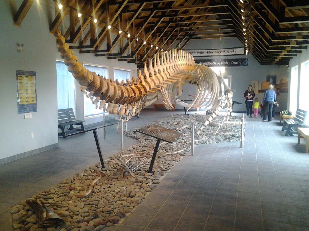 King's Point Whale Pavilion景点图片
