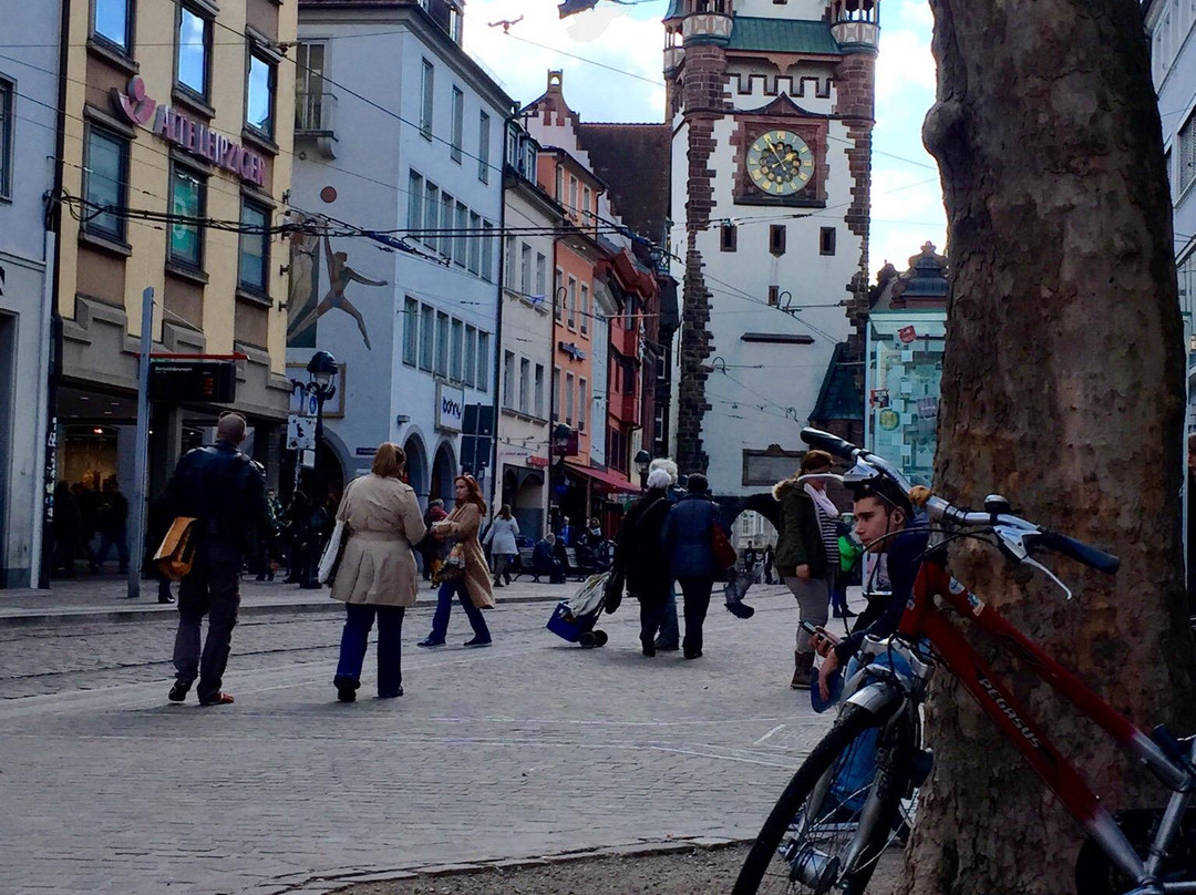 Freiburg Free Walking Tour-佛莱堡必去景点