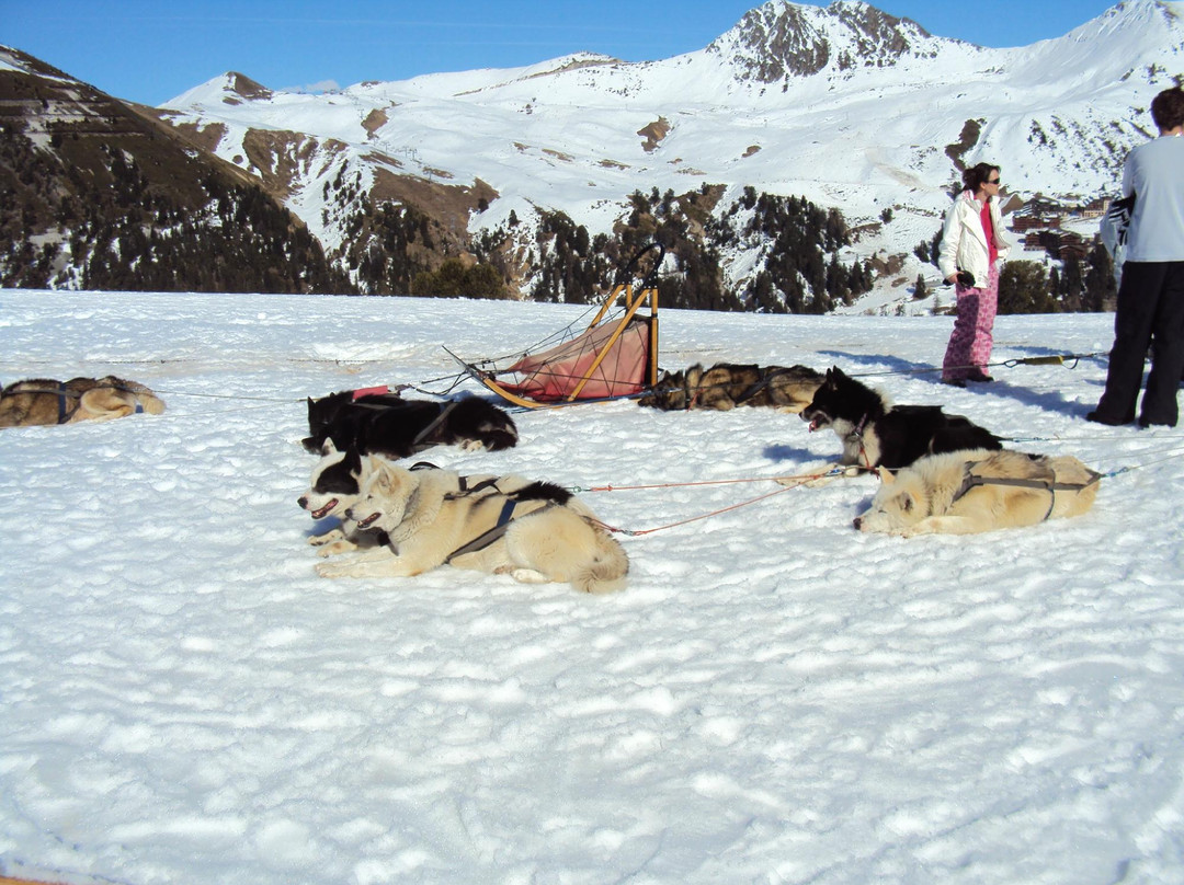 Chiens de Traîneaux-Macot-la-Plagne必去景点