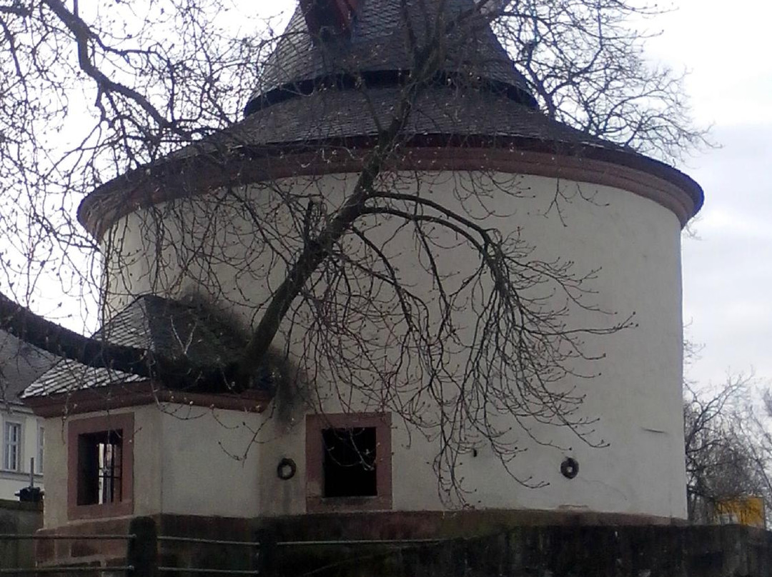 Sogenannter Jüngerer Moselkran景点图片