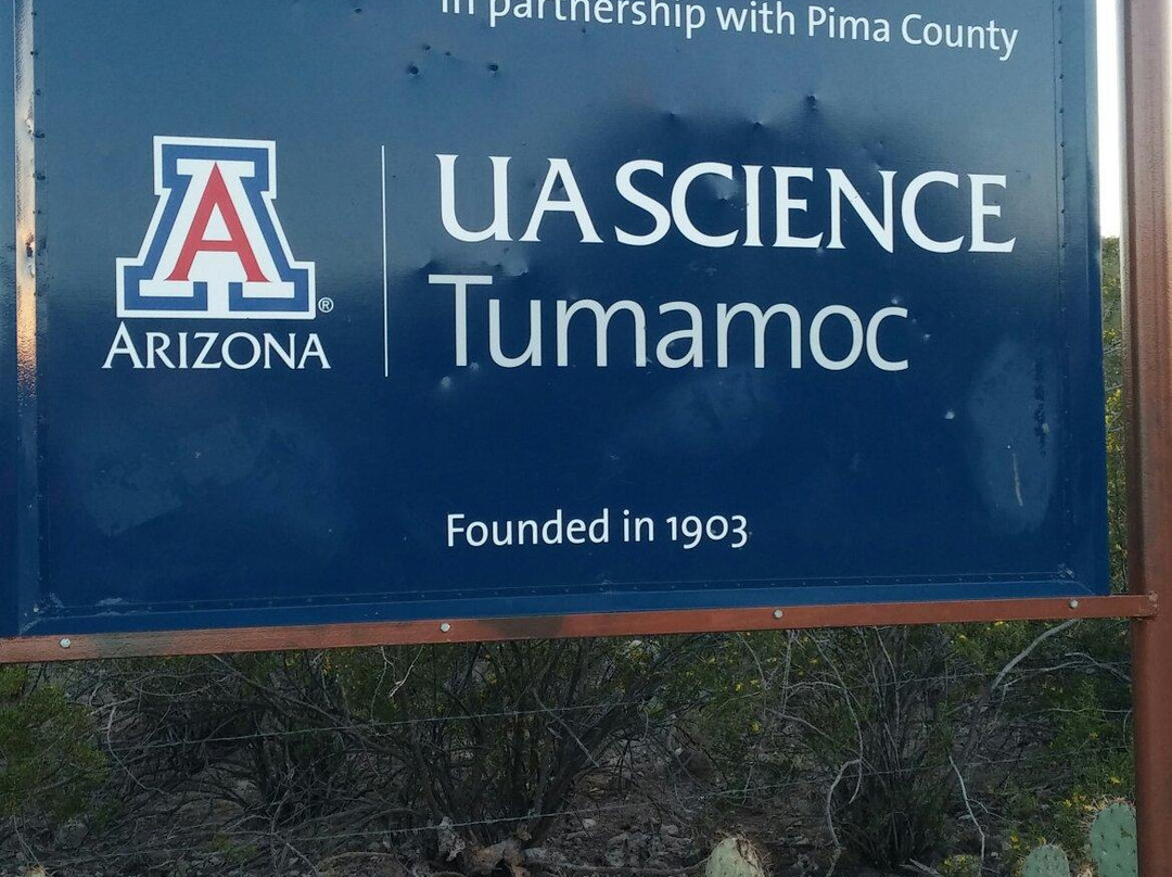 Tumamoc Hill-图森必去景点