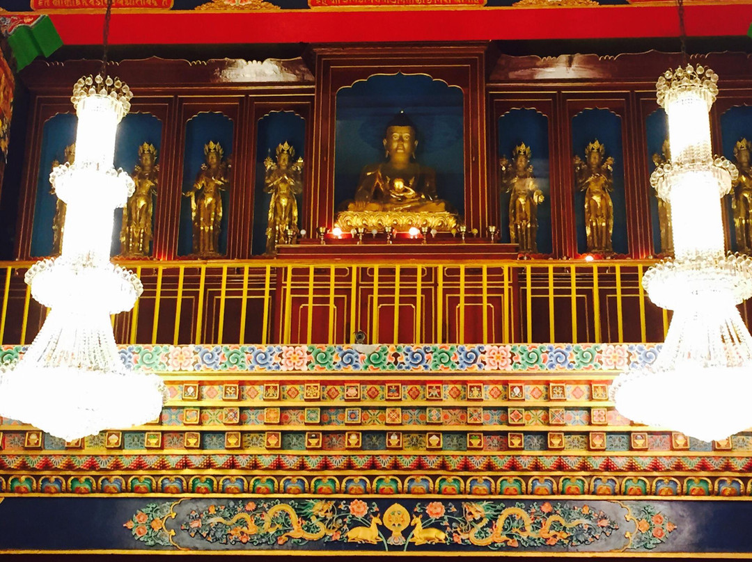 Deer Park Institute景点图片