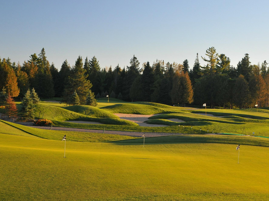 Canadian Golf & Country Club景点图片