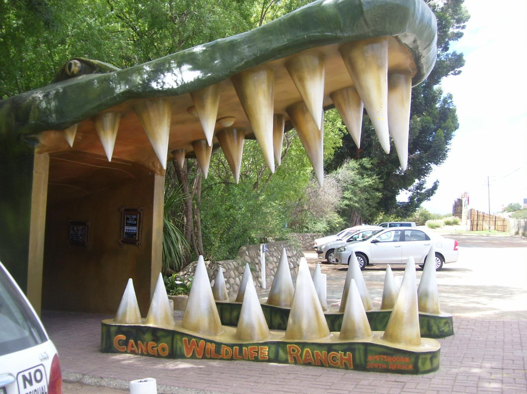 Cango Wildlife Ranch-奥兹洪必去景点