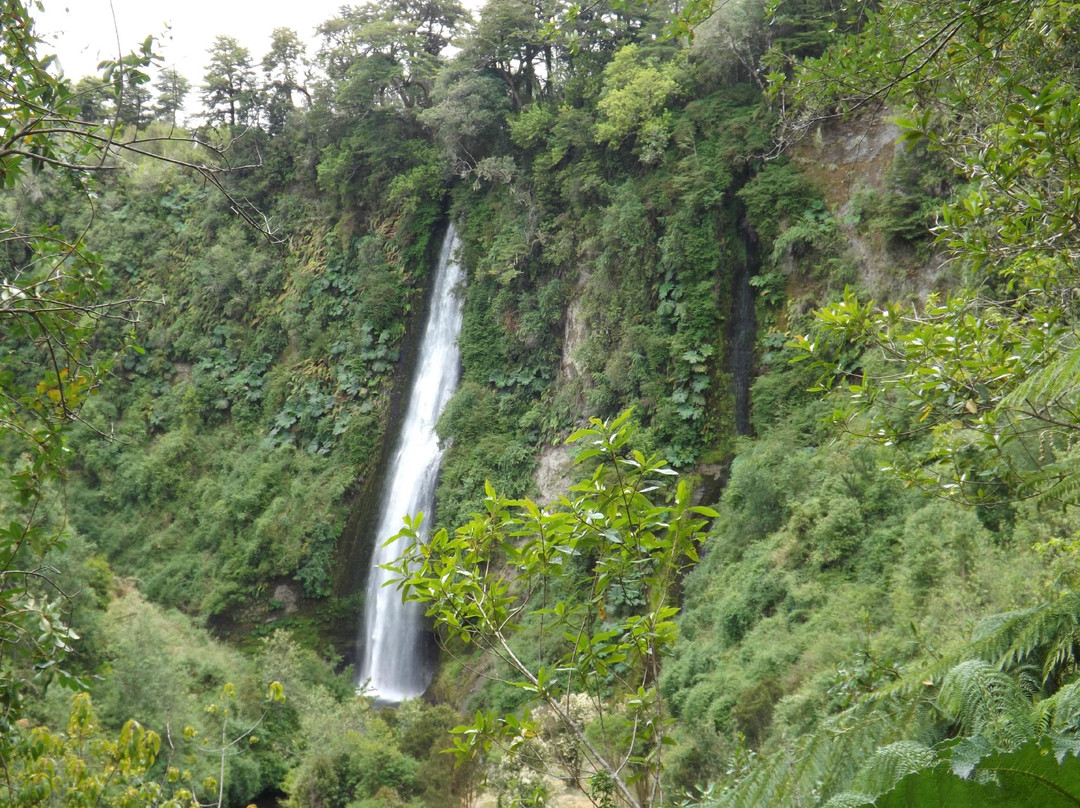 Cascadas de Tocoihue景点图片