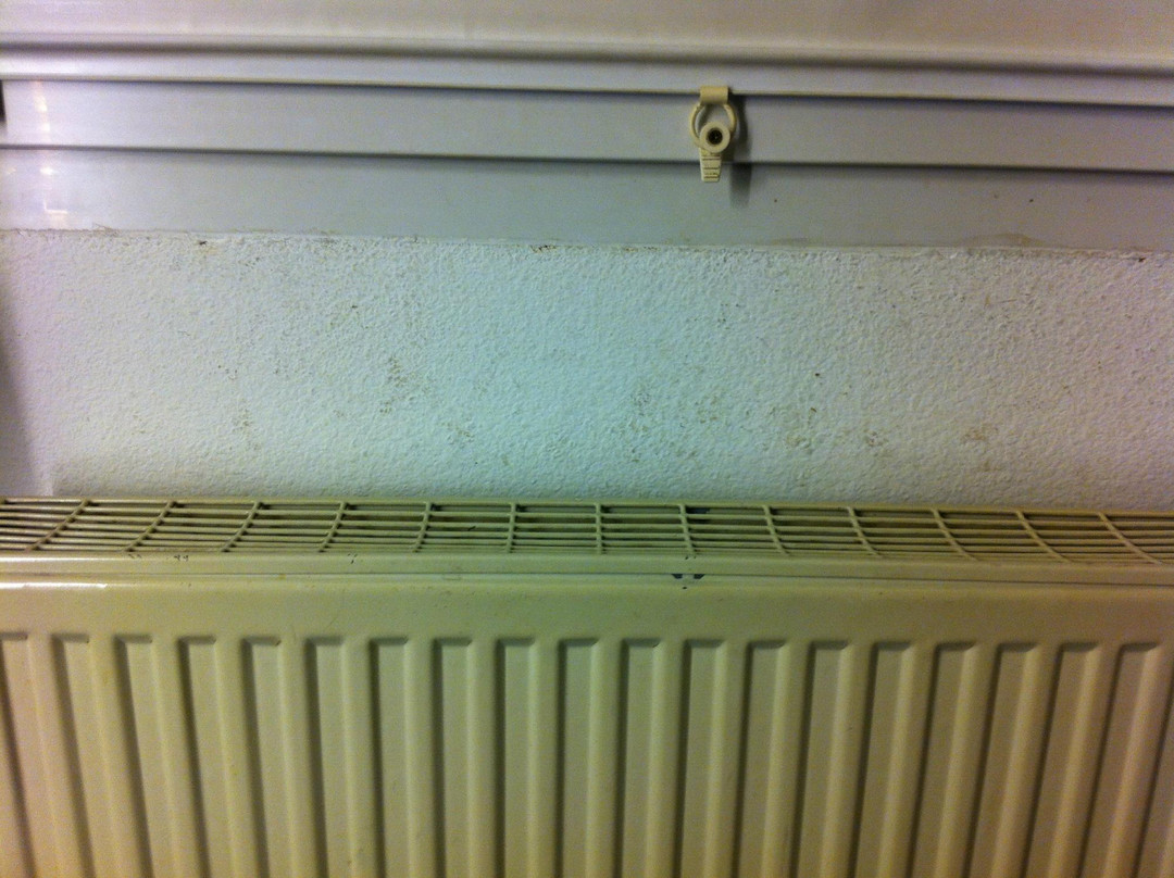 Hotel Primotel主图