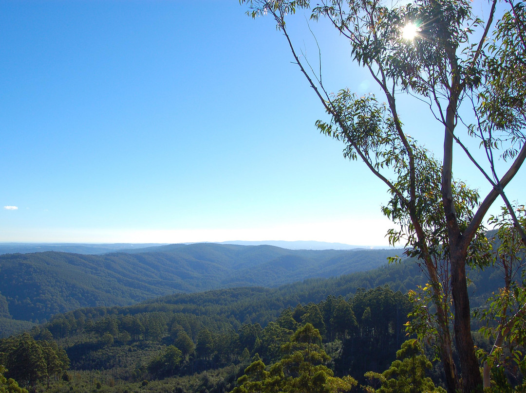 Piedmont旅游景点-Noojee Picnic Grounds