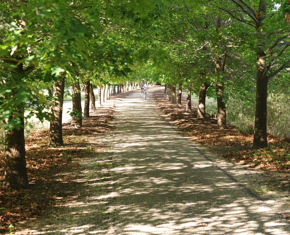 Murray to Mountains Rail Trail-Wangaratta必去景点