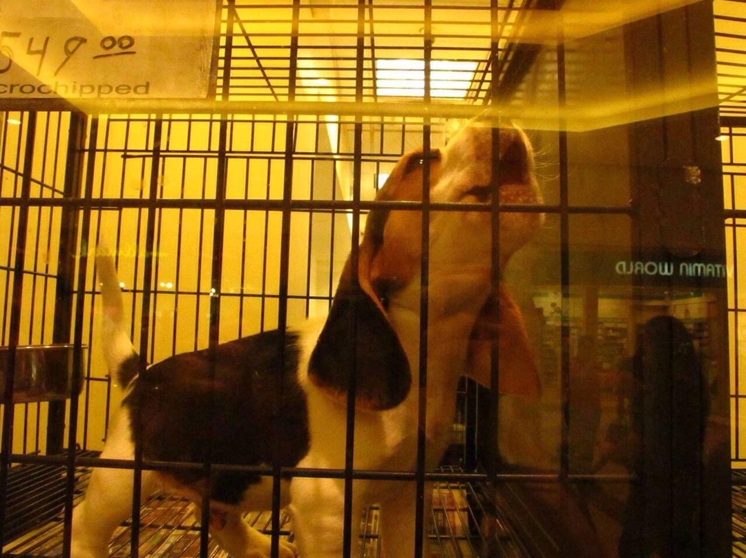 Post Oak Mall-大学城必去景点