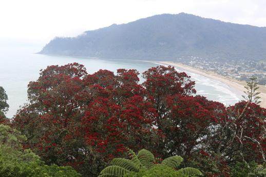 Mount Paku-Tairua必去景点