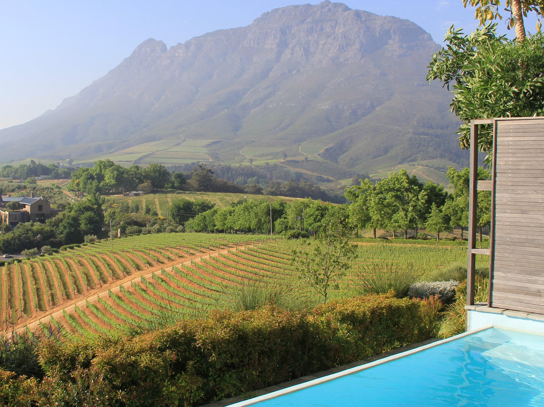 Delaire Graff Estate-斯泰伦博斯必去景点