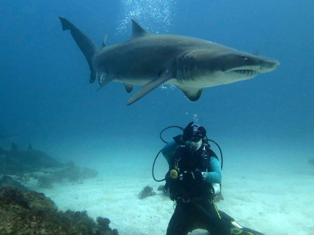 Ocean Explorers Dive Centre-约翰内斯堡必去景点