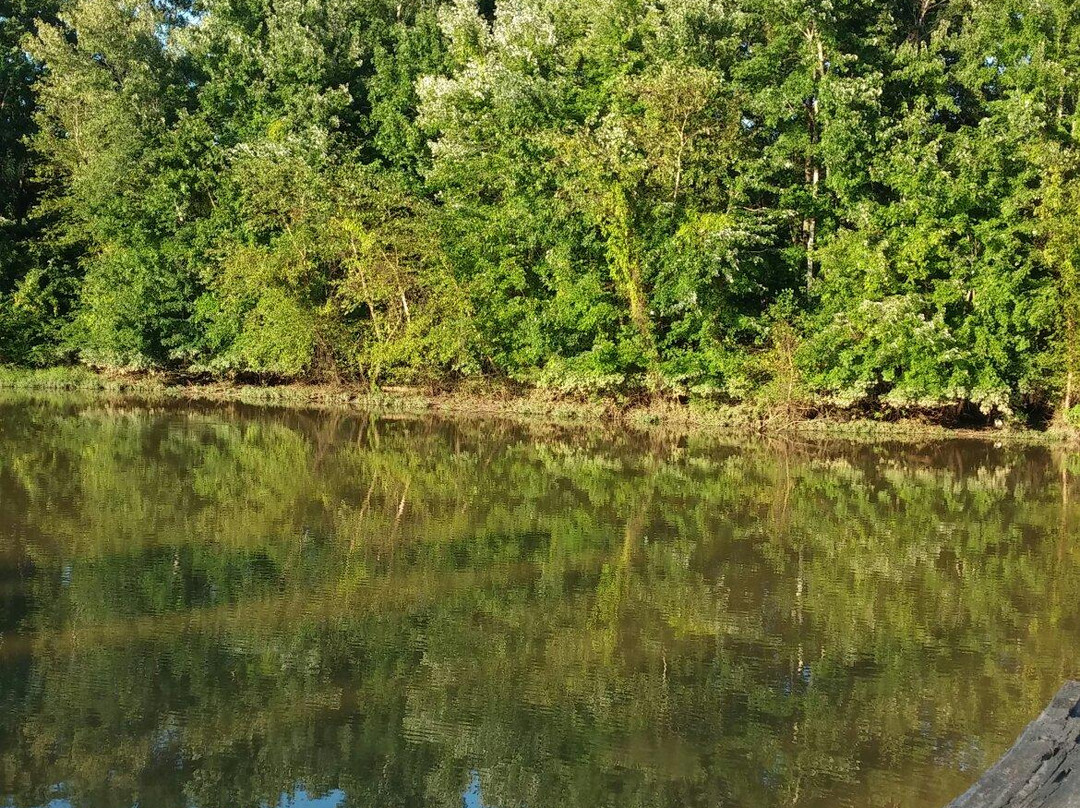 Cypress Grove Nature Park-Jackson必去景点