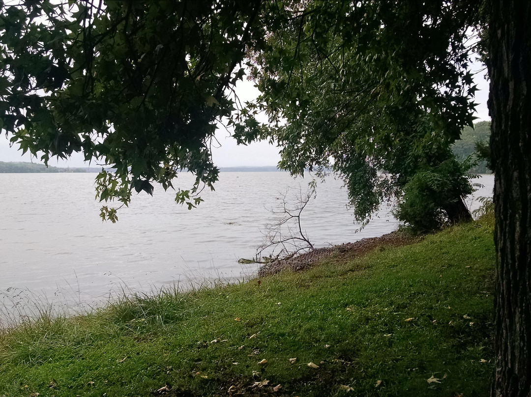 Pohick Bay Regional Park景点图片