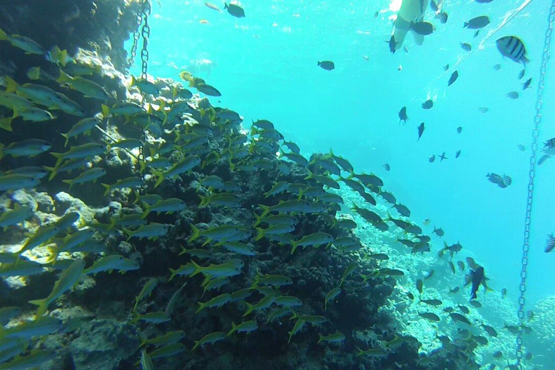 dive1one-沙姆沙伊赫必去景点