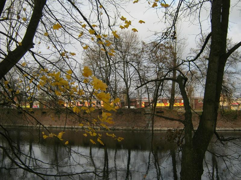 Dorozhnoye旅游景点-Youzhny Rest Park