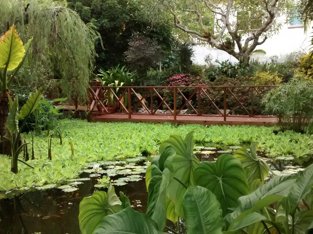 Andromeda Botanic Gardens-Bathsheba必去景点