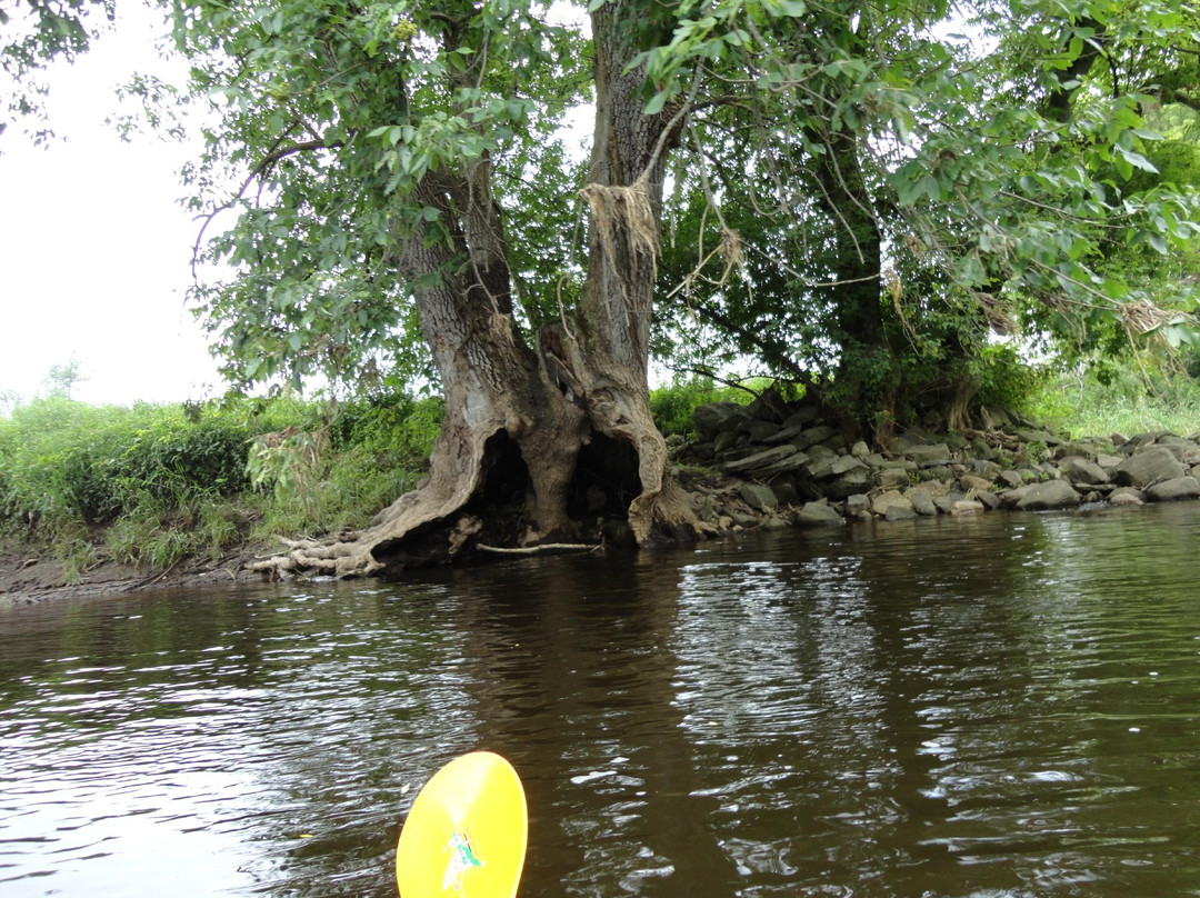 Kayak Safari-Huntingdon必去景点