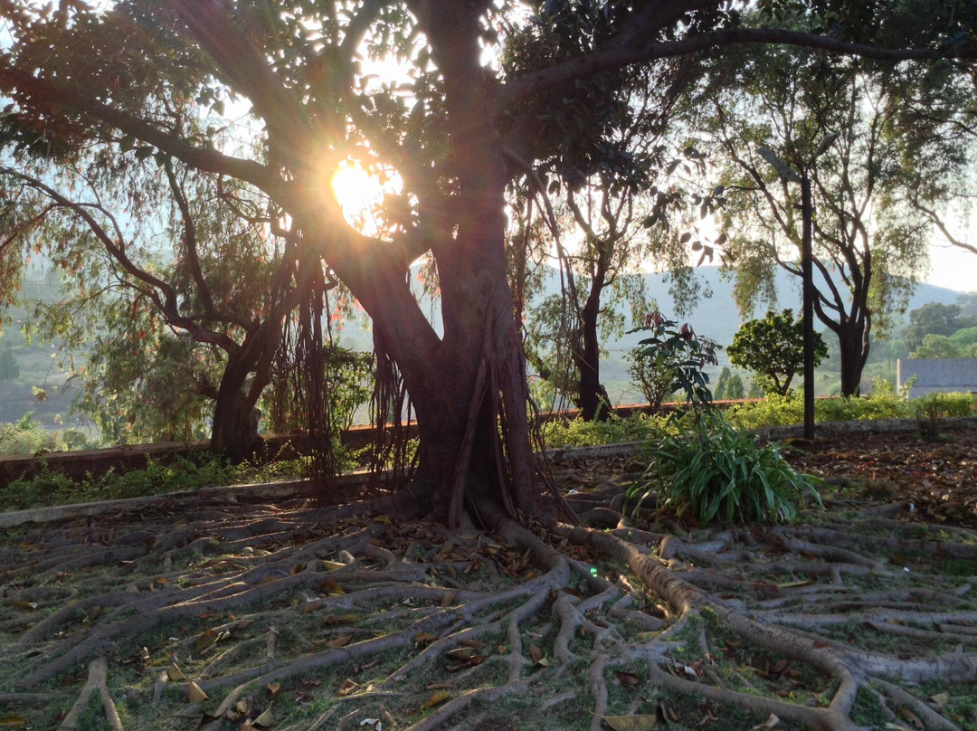 Kolab Botanical Garden-Jeypore必去景点