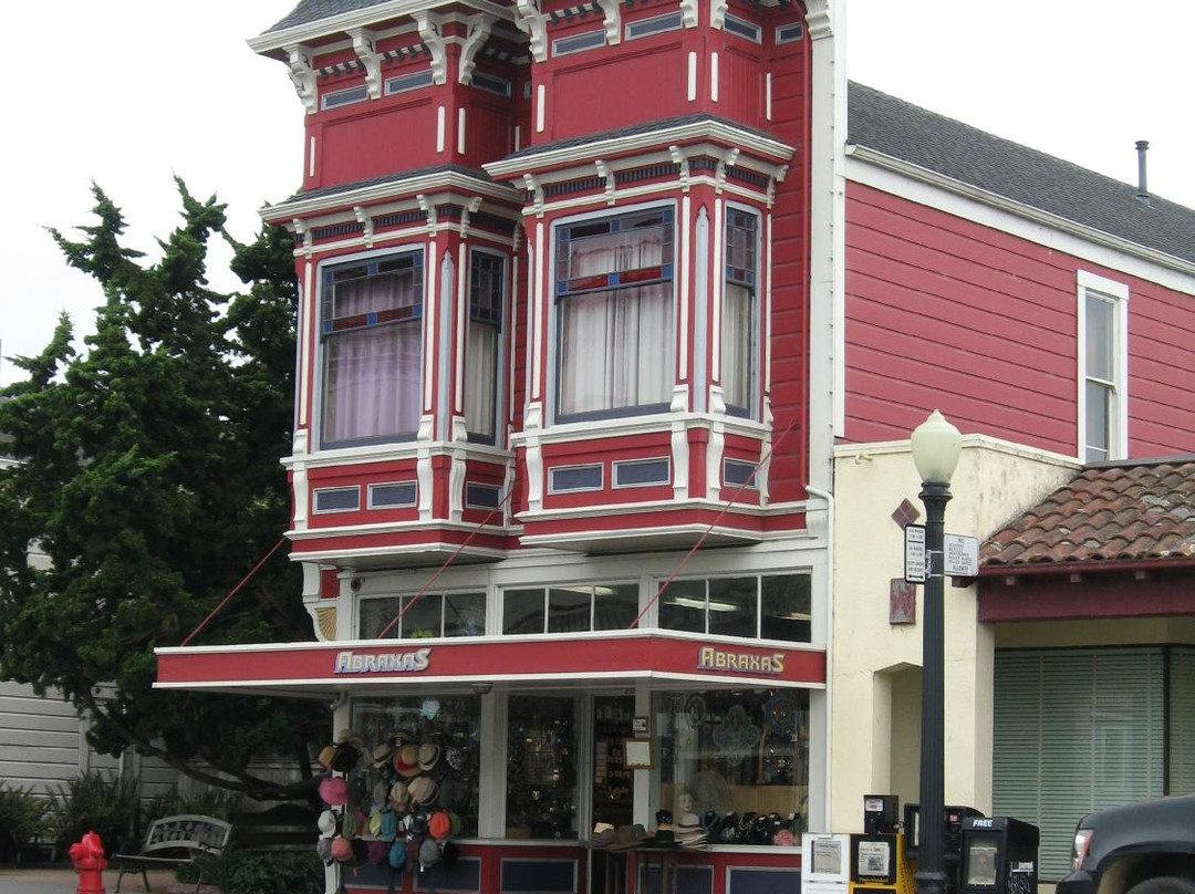 The Victorian Village of Ferndale景点图片