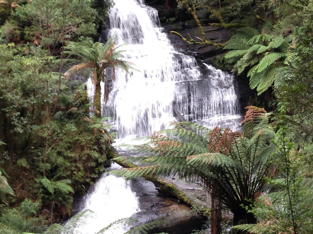 Triplet Falls-Beech Forest必去景点