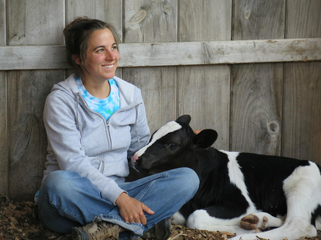 Heifer Farm景点图片