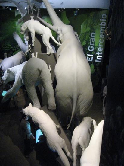 Biomuseo景点图片