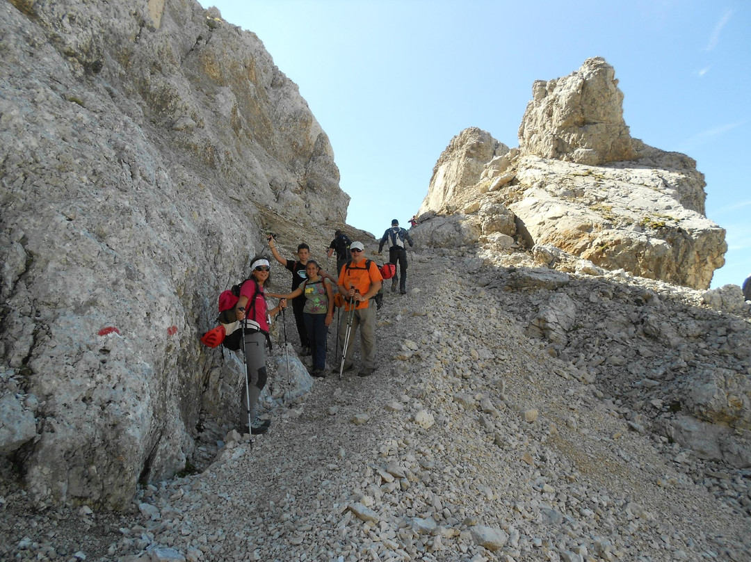 Dolomiti Explora Day Tours景点图片