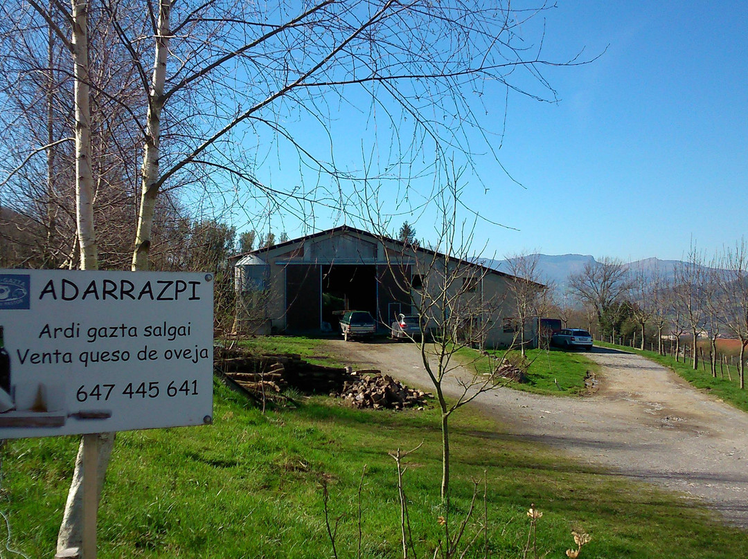 Basque Cooltour - Day Tours景点图片