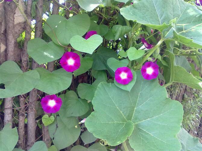 古塔公园-锦州市必去景点