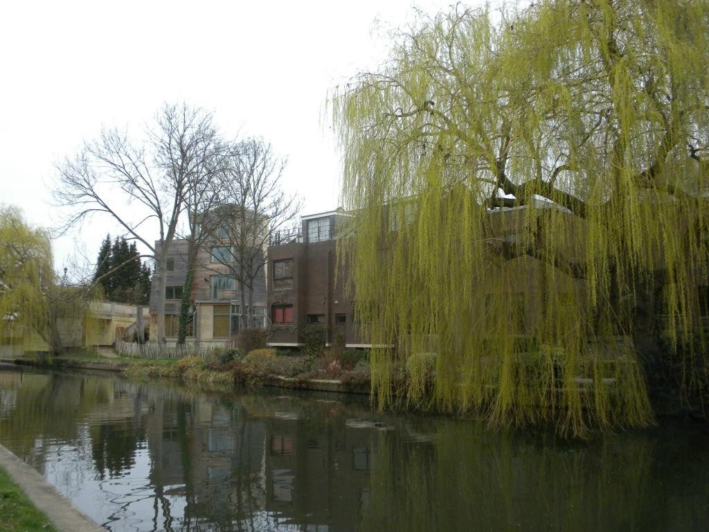 Fen Rivers Way景点图片