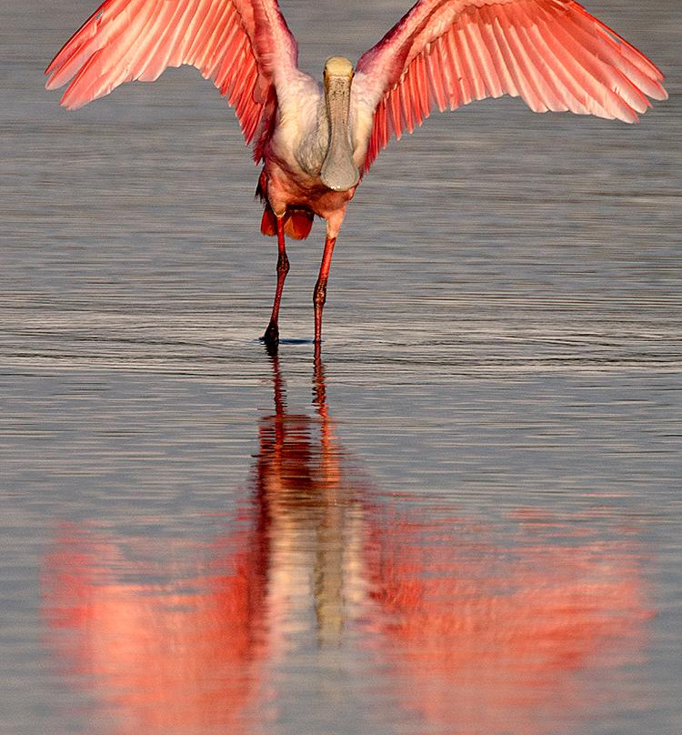 Don Mammoser Photography-帕克必去景点