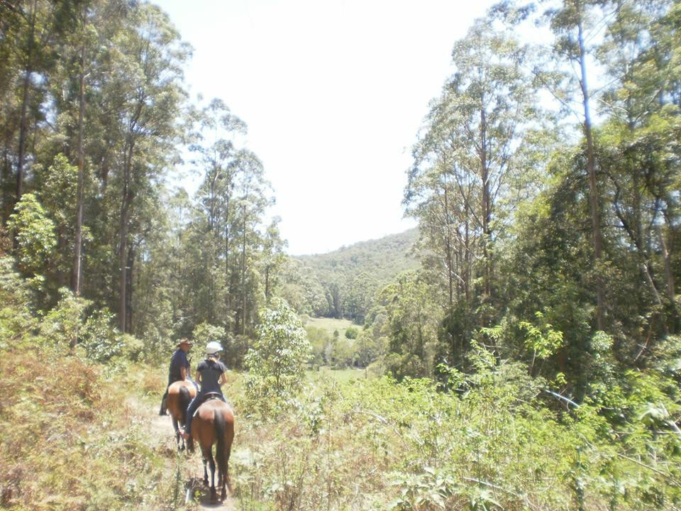 Bellrowan Valley Horse Riding-Beechwood必去景点